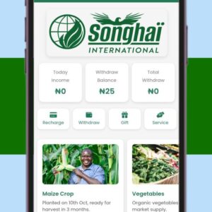 High Quality  Investment website